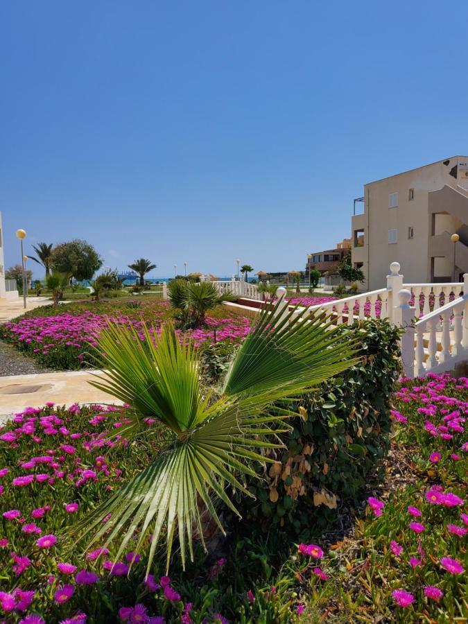 Apartamento Naturista En Primera Linea De Vera Playa!!! Las Bombardas Екстер'єр фото