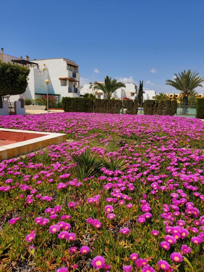 Apartamento Naturista En Primera Linea De Vera Playa!!! Las Bombardas Екстер'єр фото